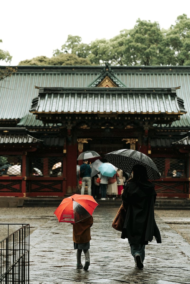 Cultural Tour Image